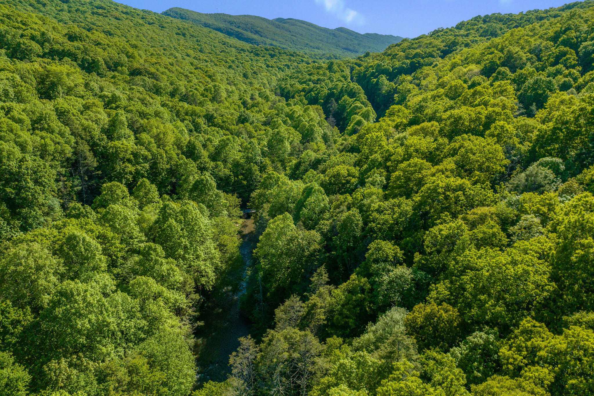 1679 Wolf Creek Dr, Tazewell, Virginia image 5