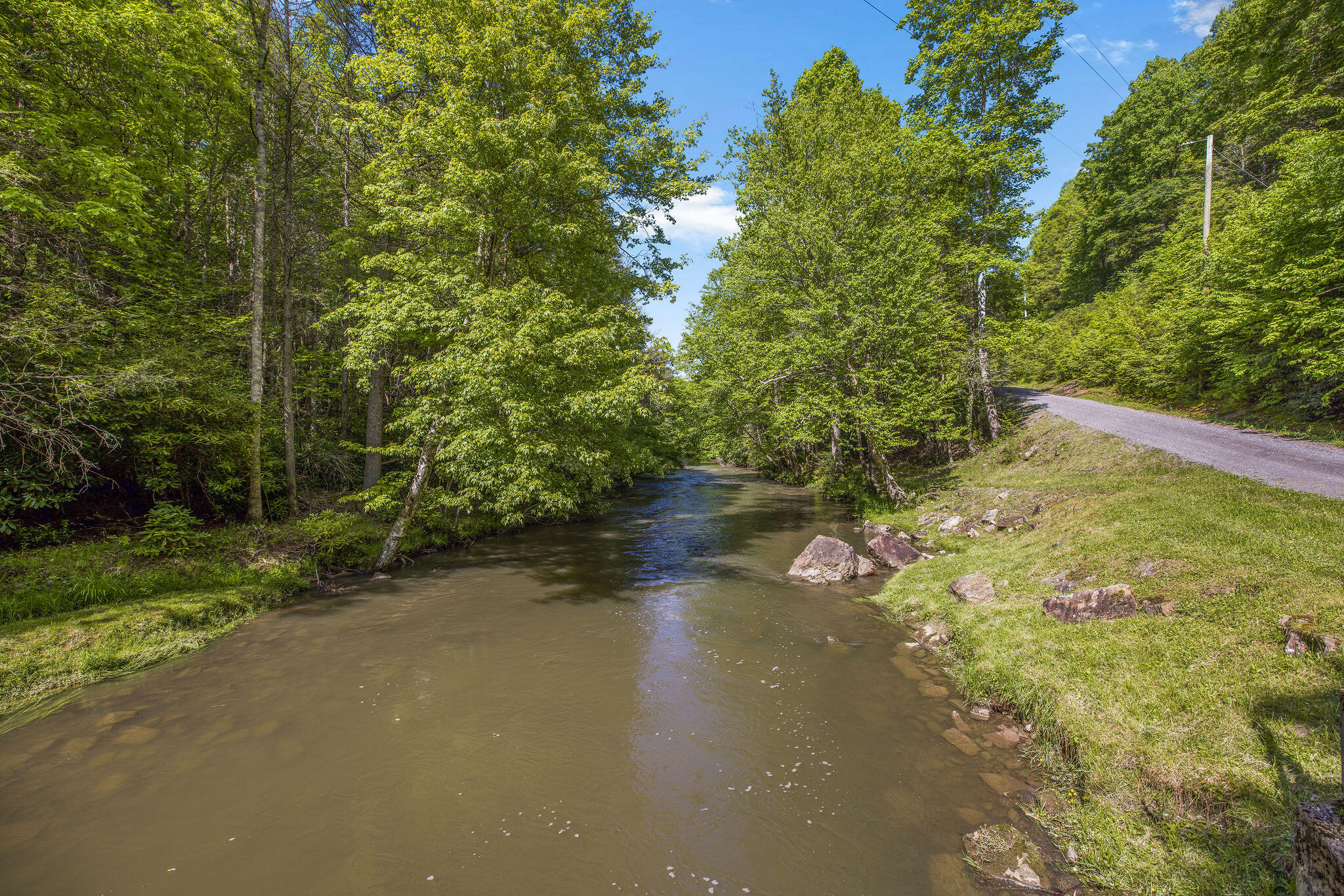 1679 Wolf Creek Dr, Tazewell, Virginia image 4