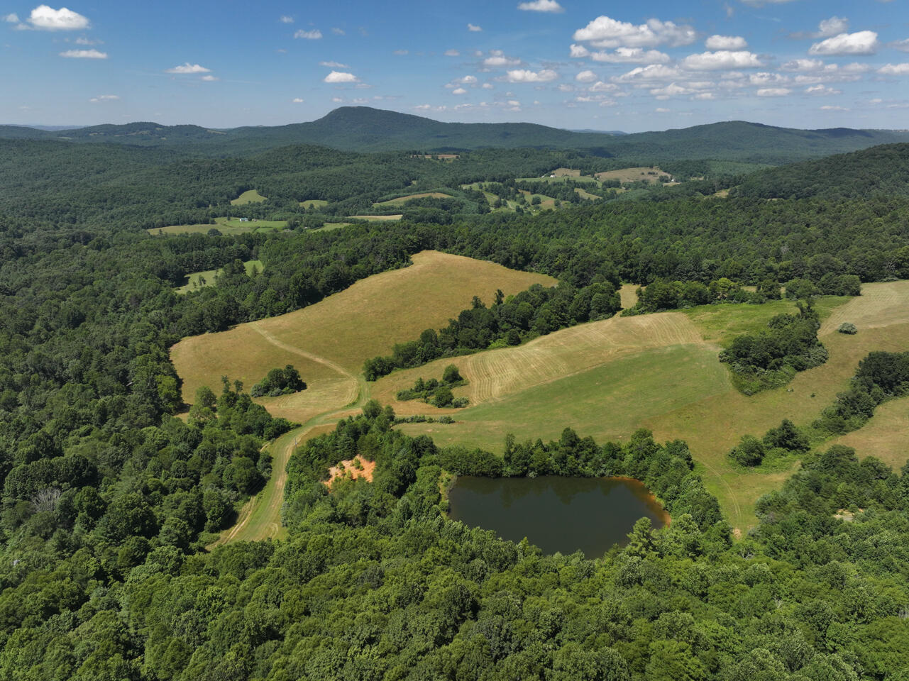 Turnip Patch Rd, Meadows of Dan, Virginia image 1