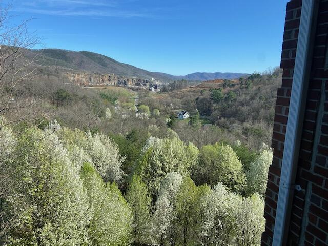 4448 Pheasant Ridge Rd #305, Roanoke, Virginia image 16