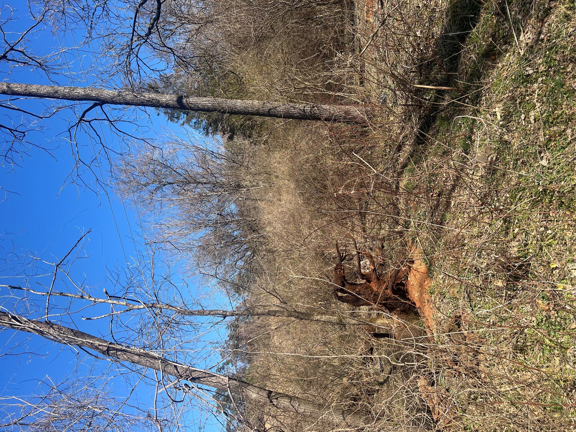 Old Rocky Mount Rd, Roanoke, Virginia image 1