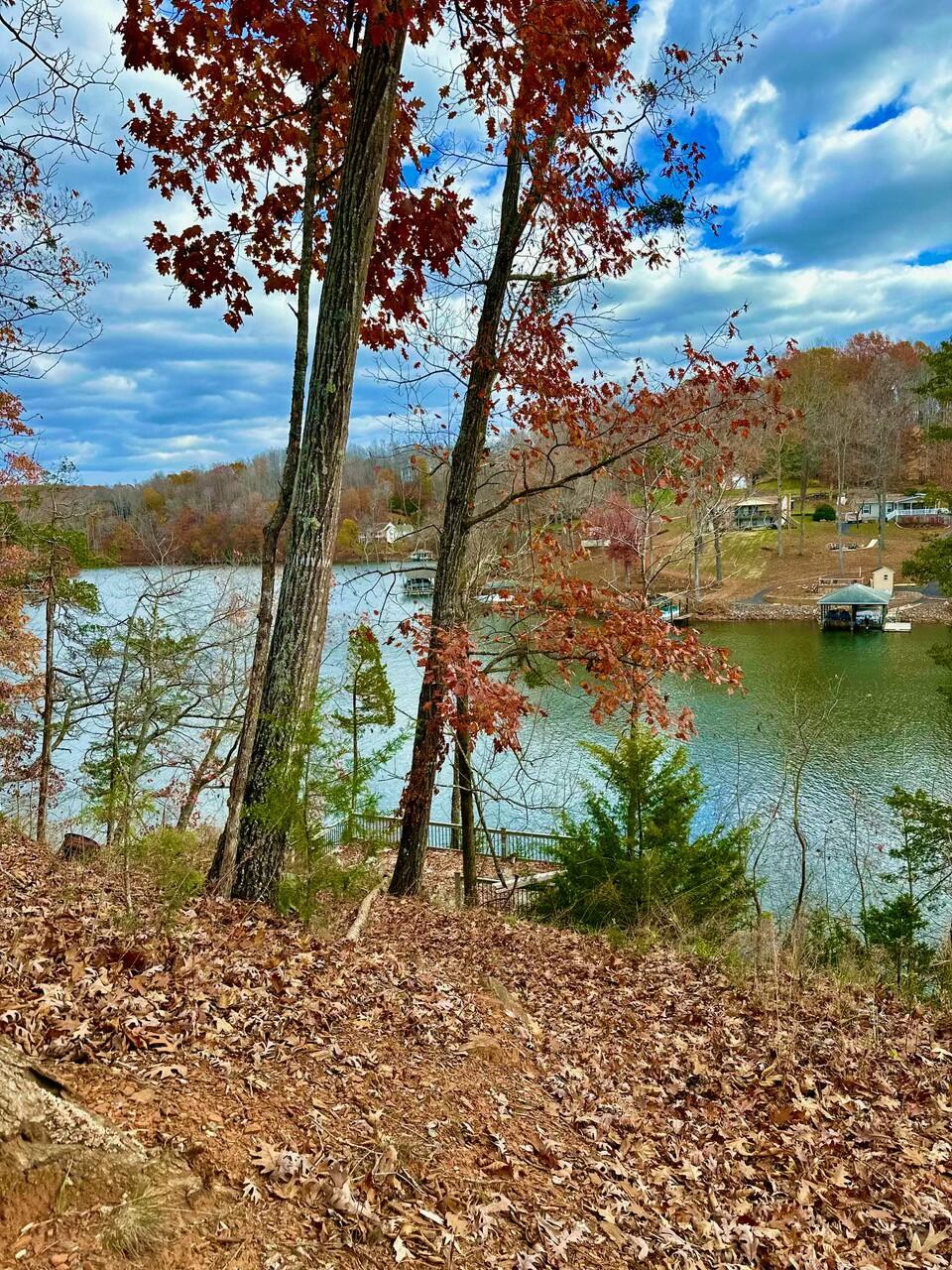 Lot 32 Lake View Pt, Glade Hill, Virginia image 9