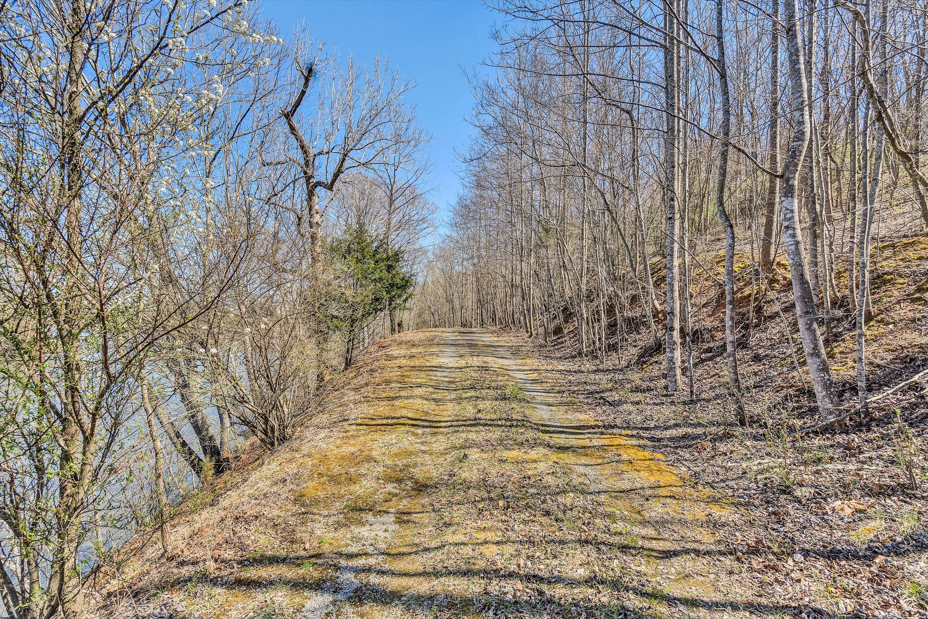 North Church Dr, Hardy, Virginia image 9