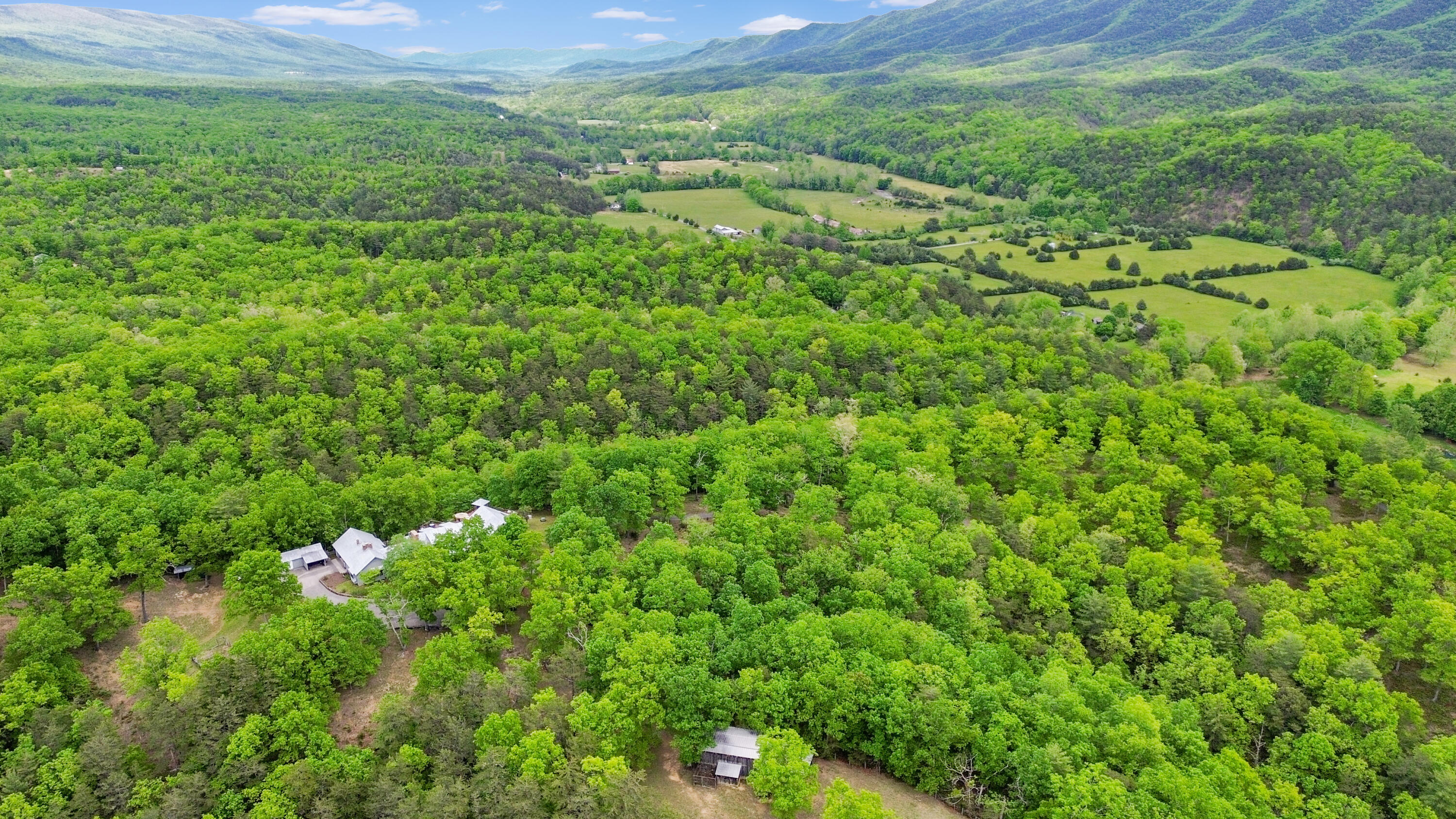 388 Hemlock Ridge Ln, Catawba, Virginia image 4