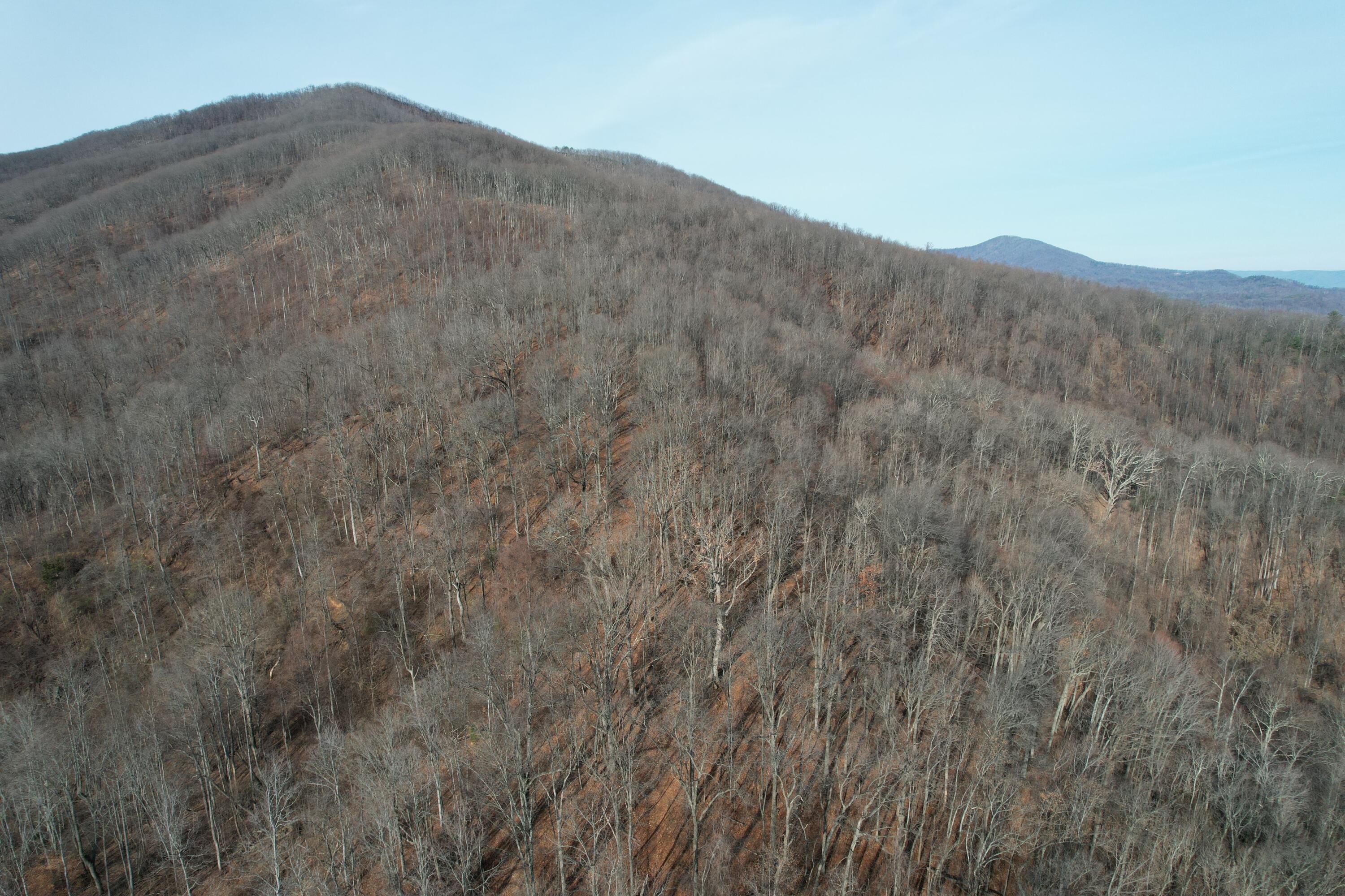 Mountainaire Rd, Boones Mill, Virginia image 1