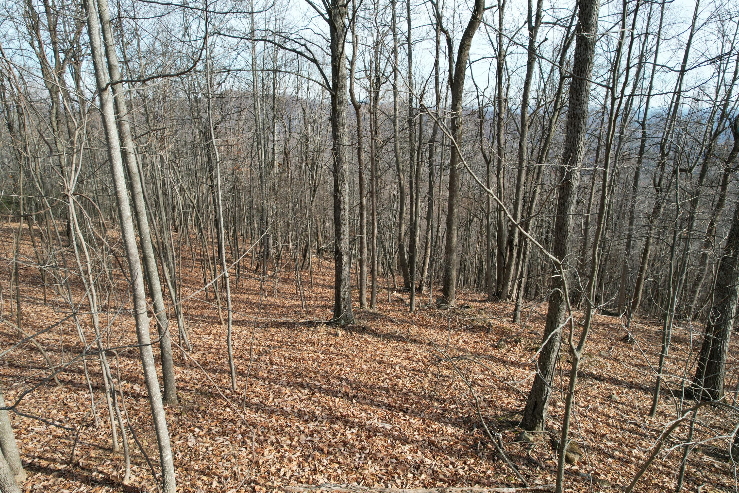 Mountainaire Rd, Boones Mill, Virginia image 2