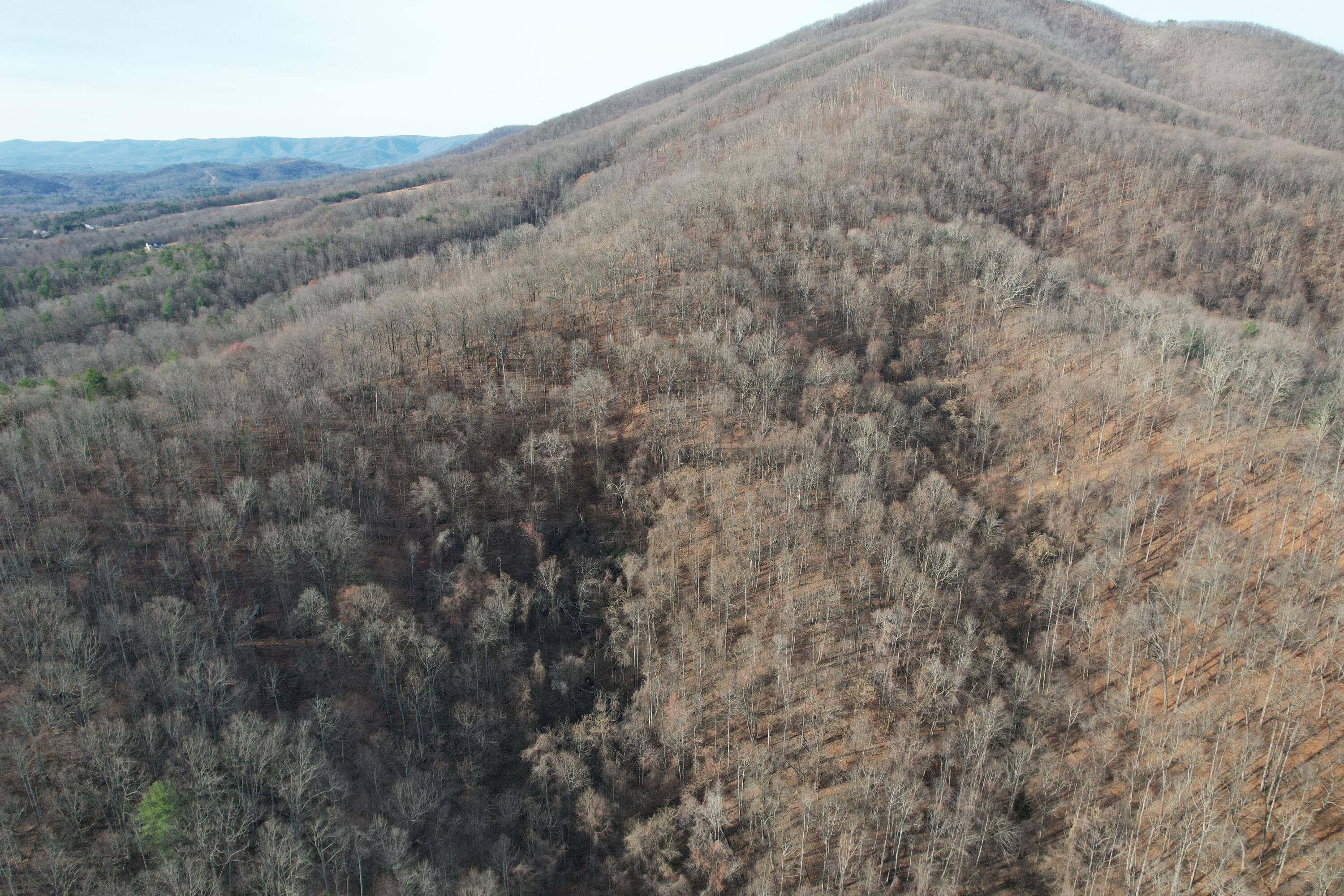 Mountainaire Rd, Boones Mill, Virginia image 8