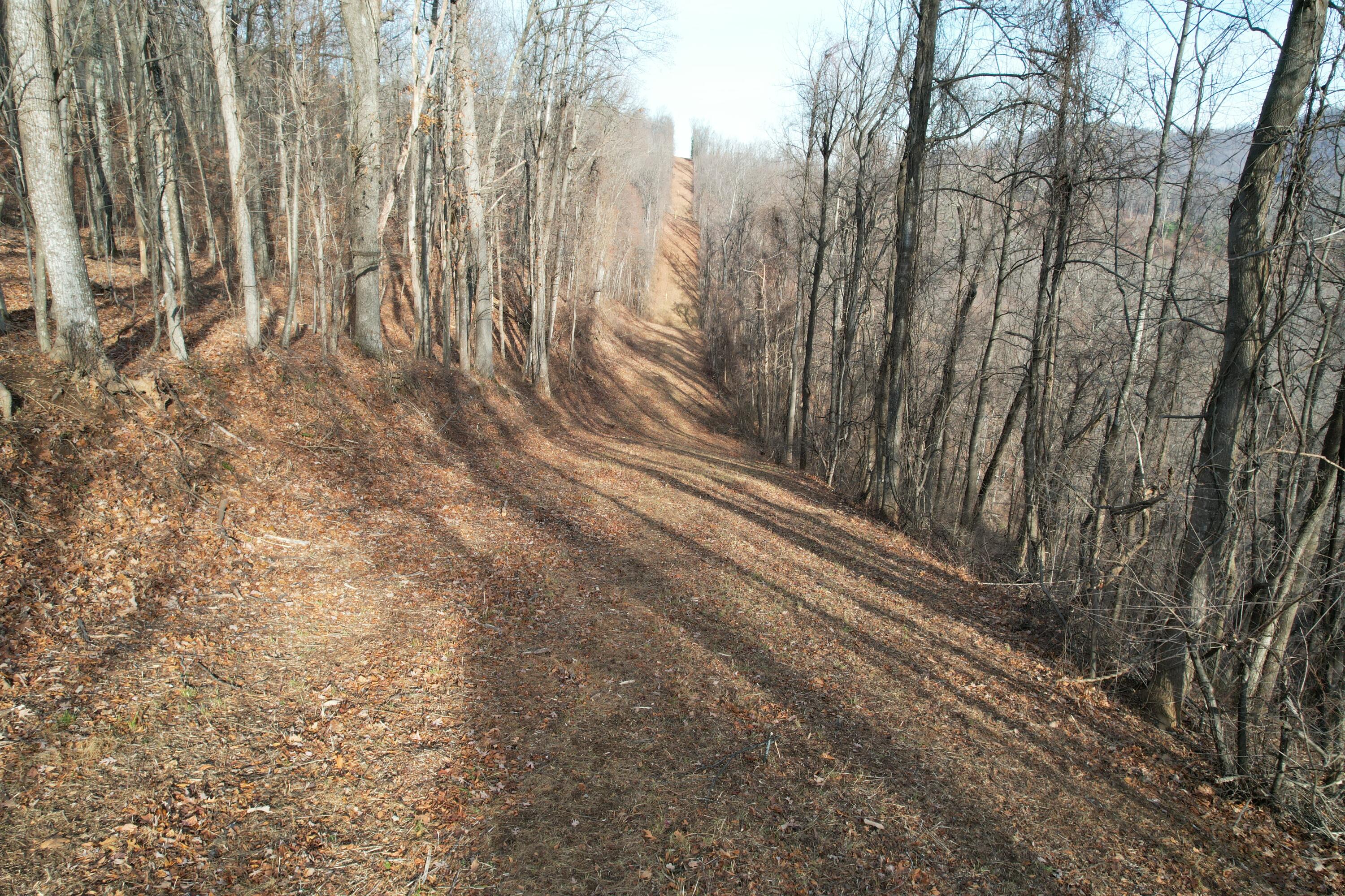 Mountainaire Rd, Boones Mill, Virginia image 11
