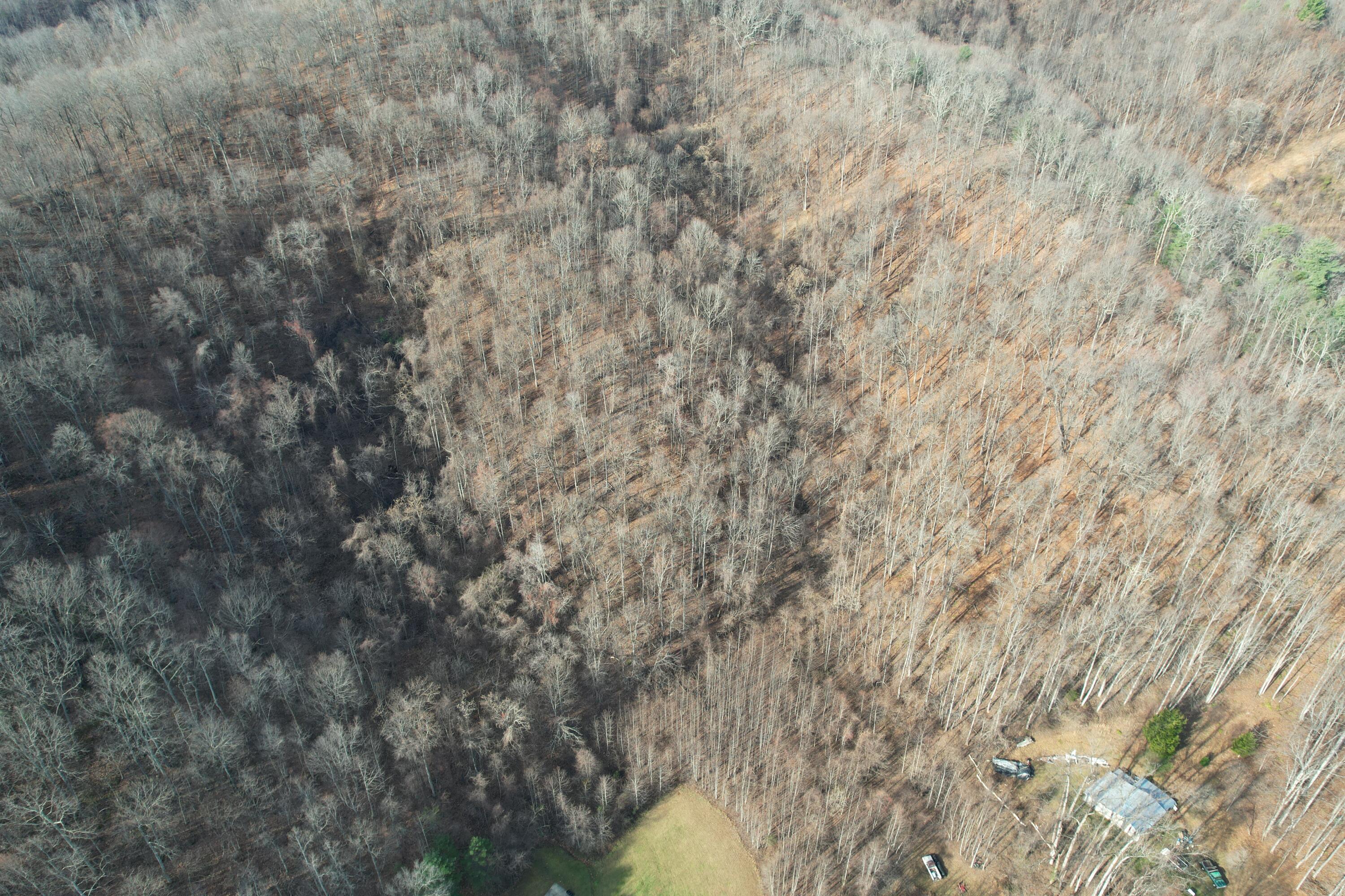 Mountainaire Rd, Boones Mill, Virginia image 7