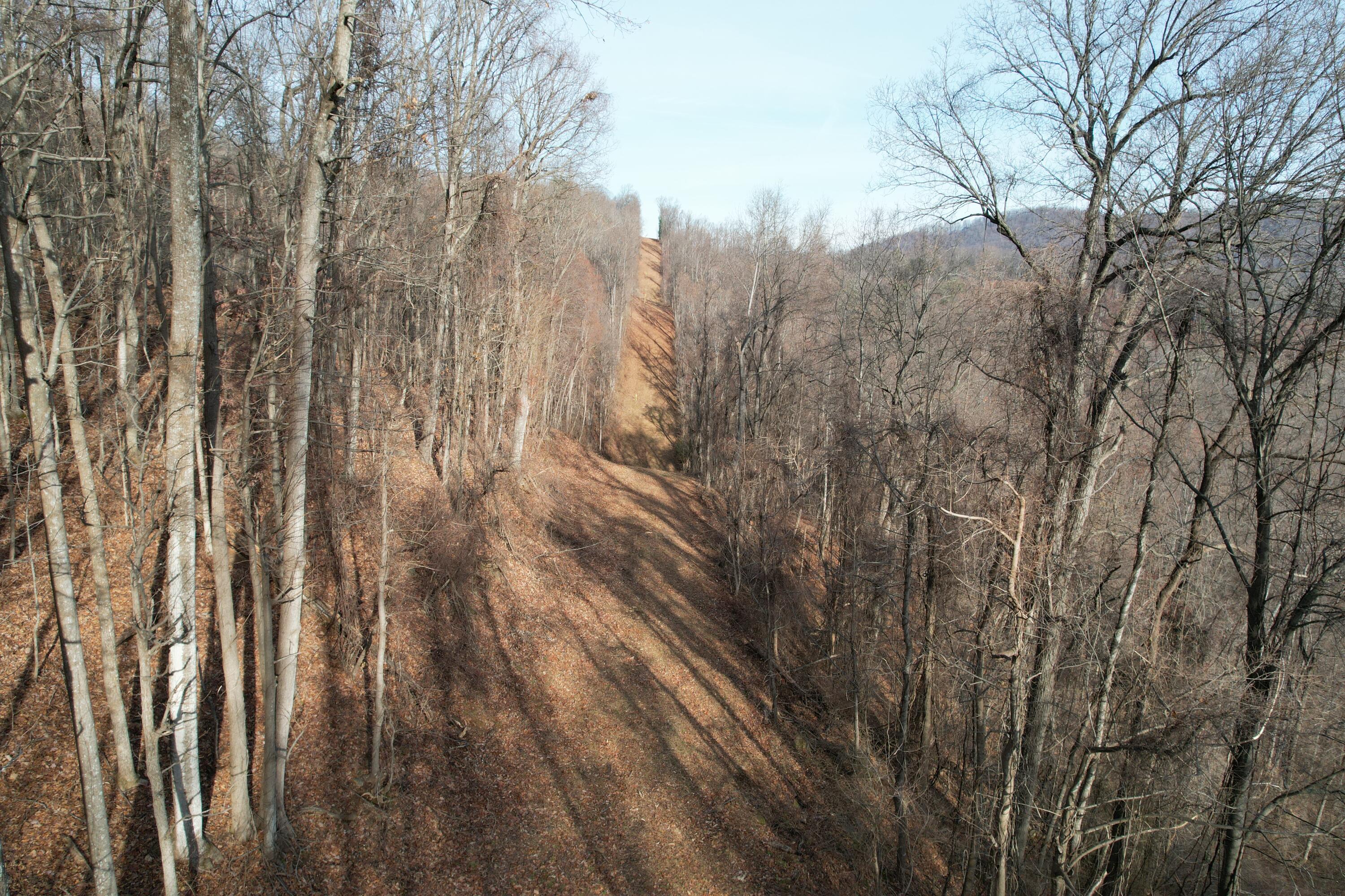 Mountainaire Rd, Boones Mill, Virginia image 5