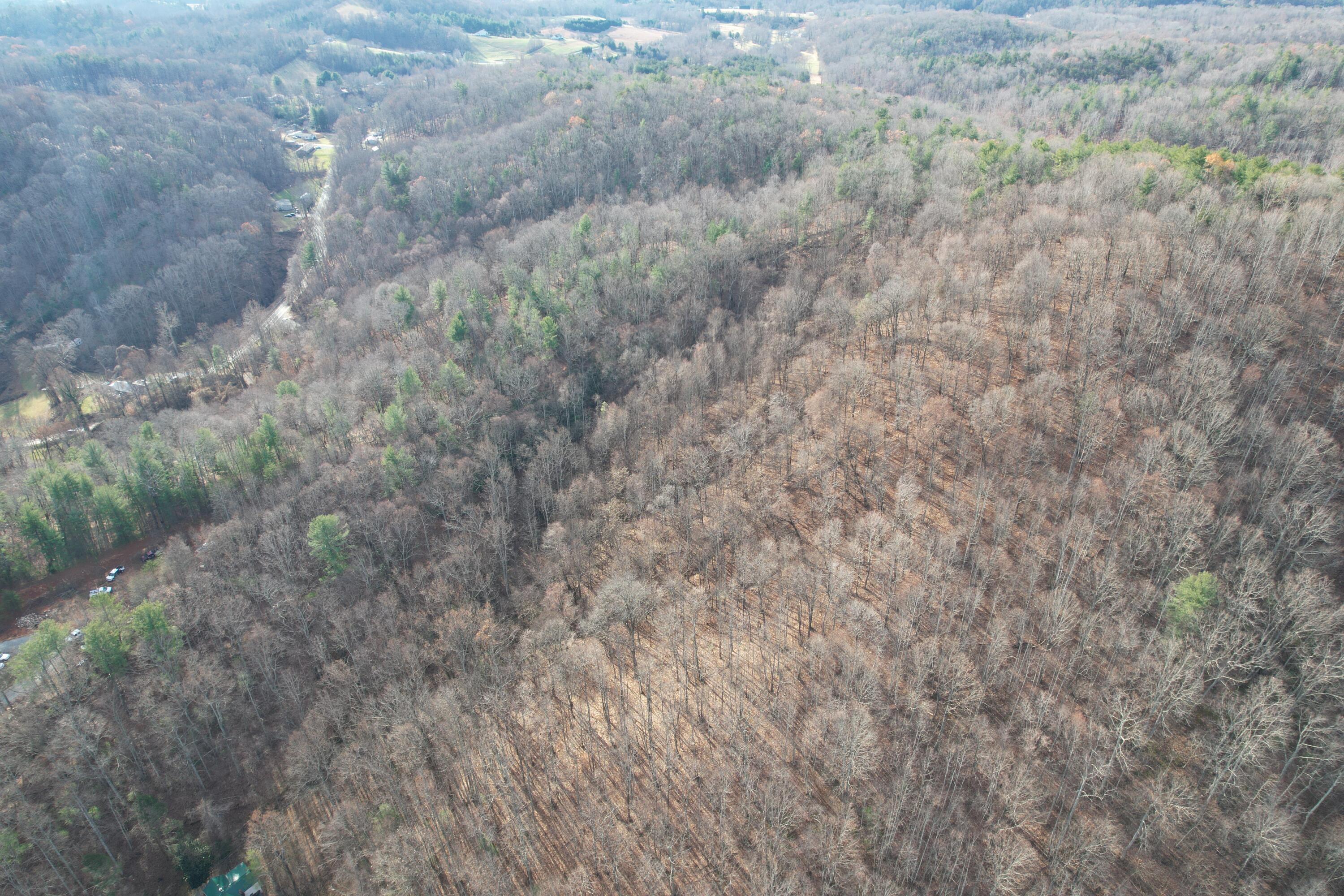 Mountainaire Rd, Boones Mill, Virginia image 10