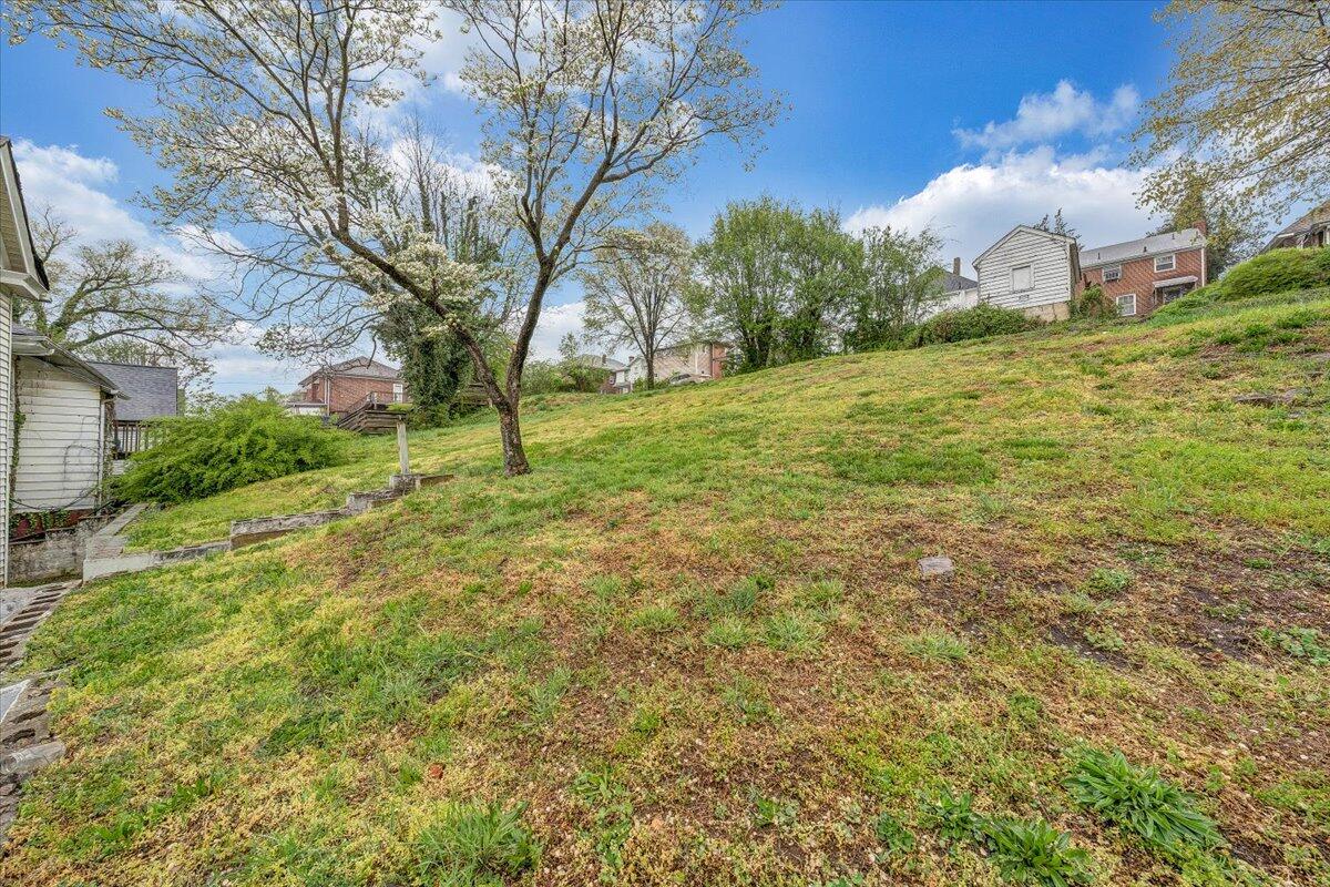619 Madison Ave, Roanoke, Virginia image 33
