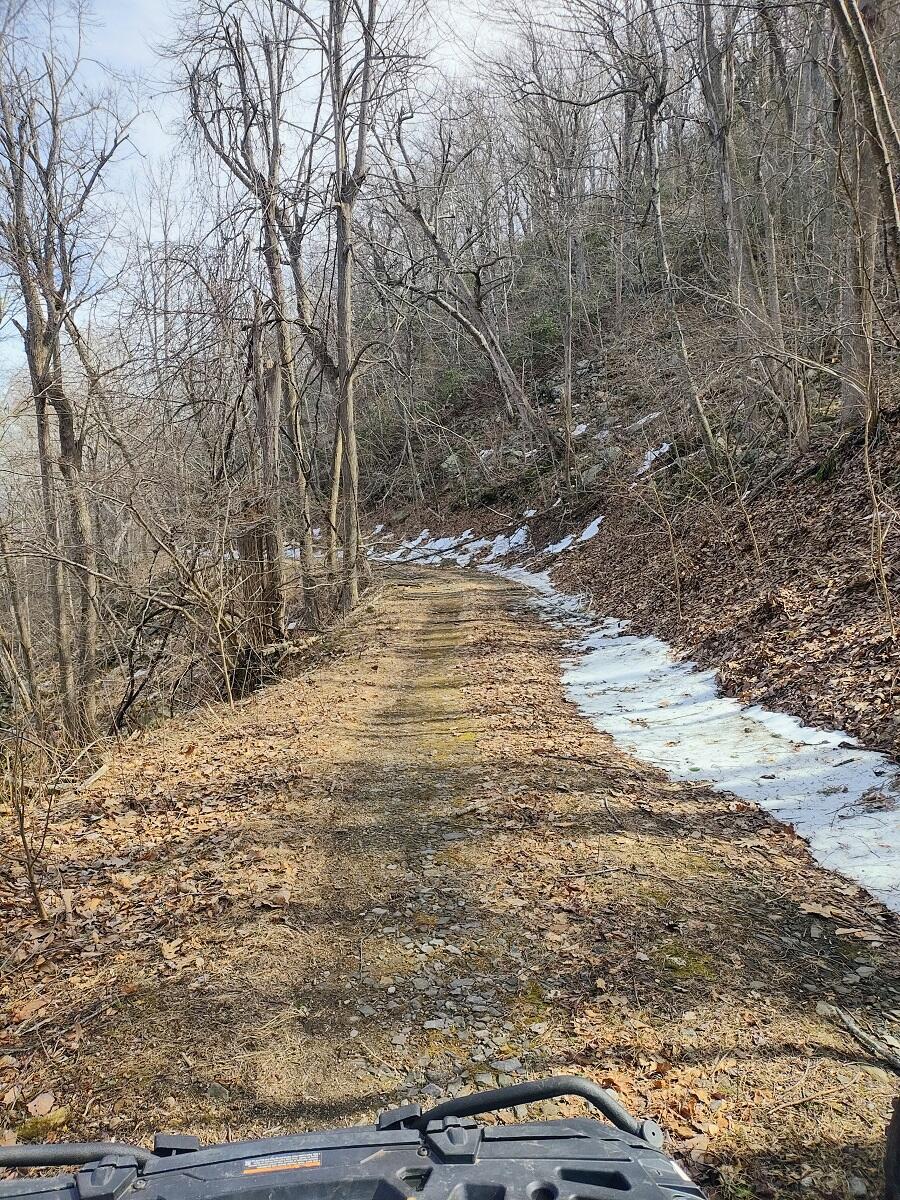 Bent Mountain Rd, Bent Mountain, Virginia image 3