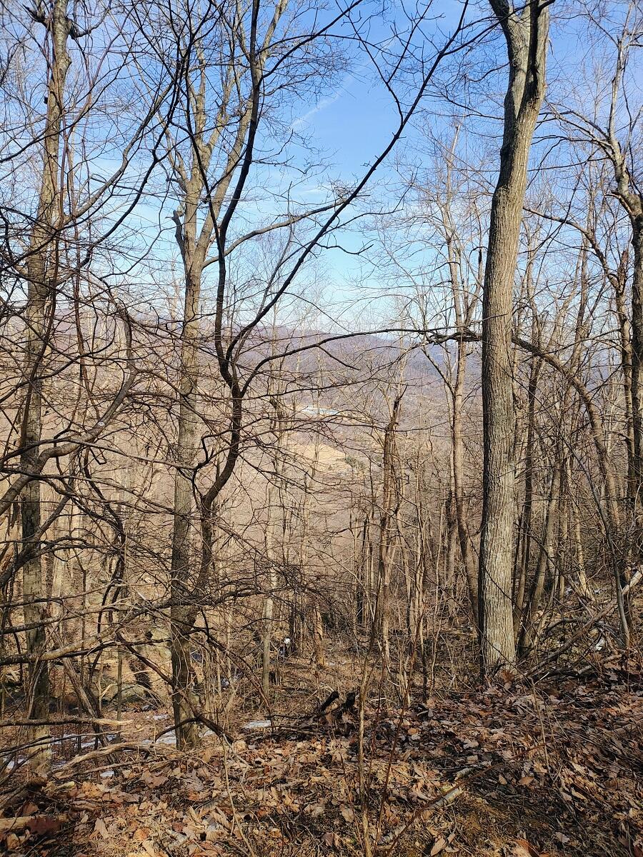 Bent Mountain Rd, Bent Mountain, Virginia image 4