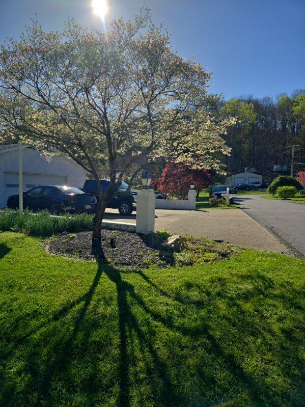 1407 Russell Dr, Covington, Virginia image 3