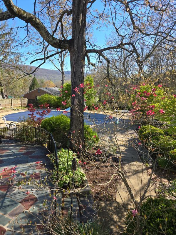 1407 Russell Dr, Covington, Virginia image 10