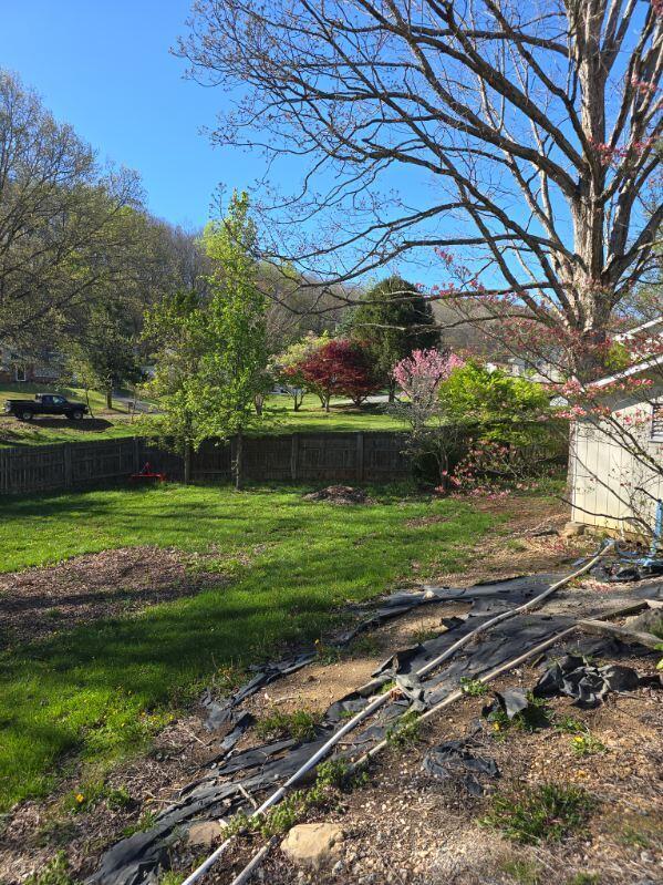 1407 Russell Dr, Covington, Virginia image 11
