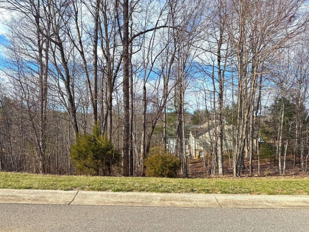 Avalon Dr, Rocky Mount, Virginia image 15