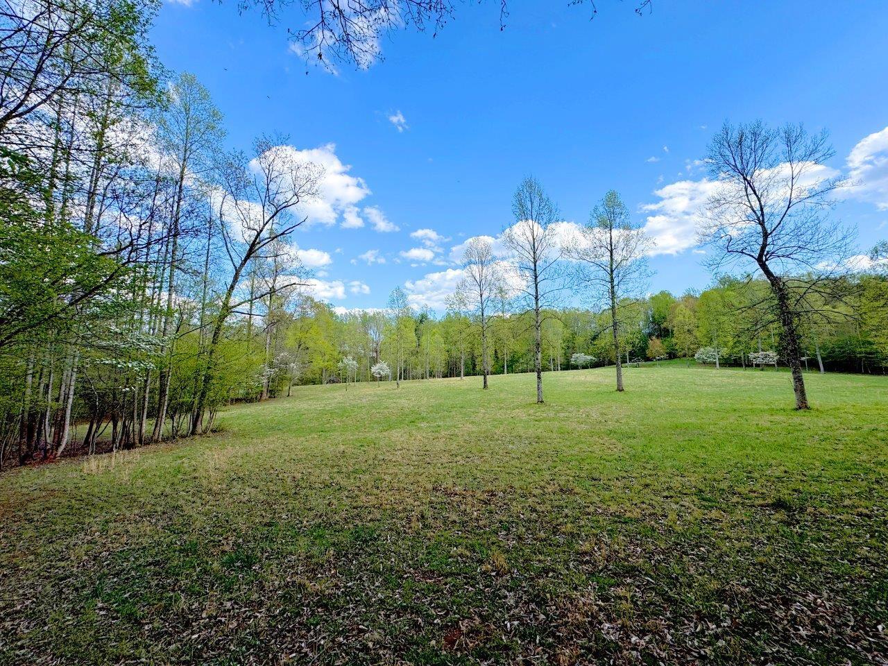Avalon Dr, Rocky Mount, Virginia image 3