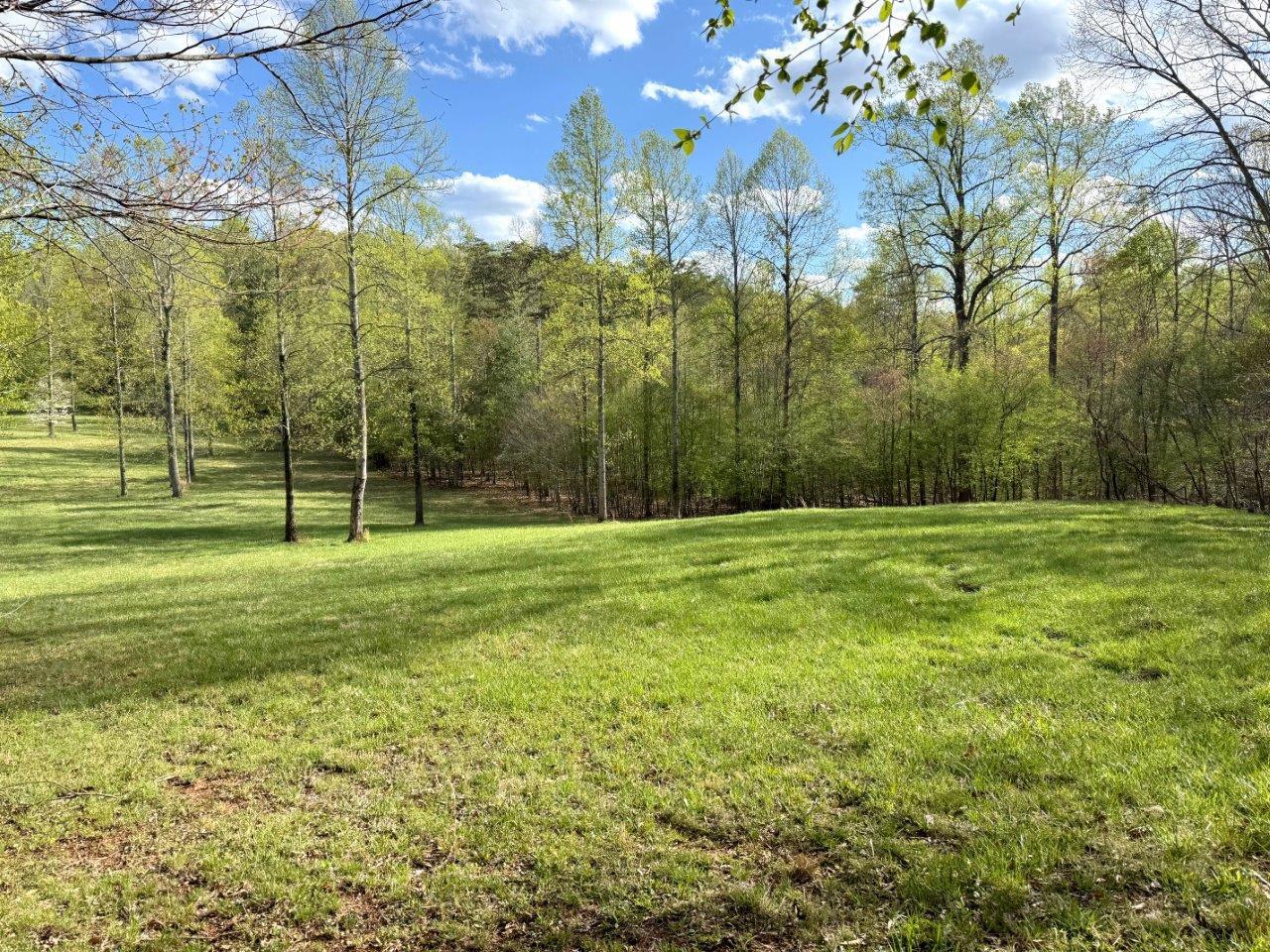 Avalon Dr, Rocky Mount, Virginia image 6