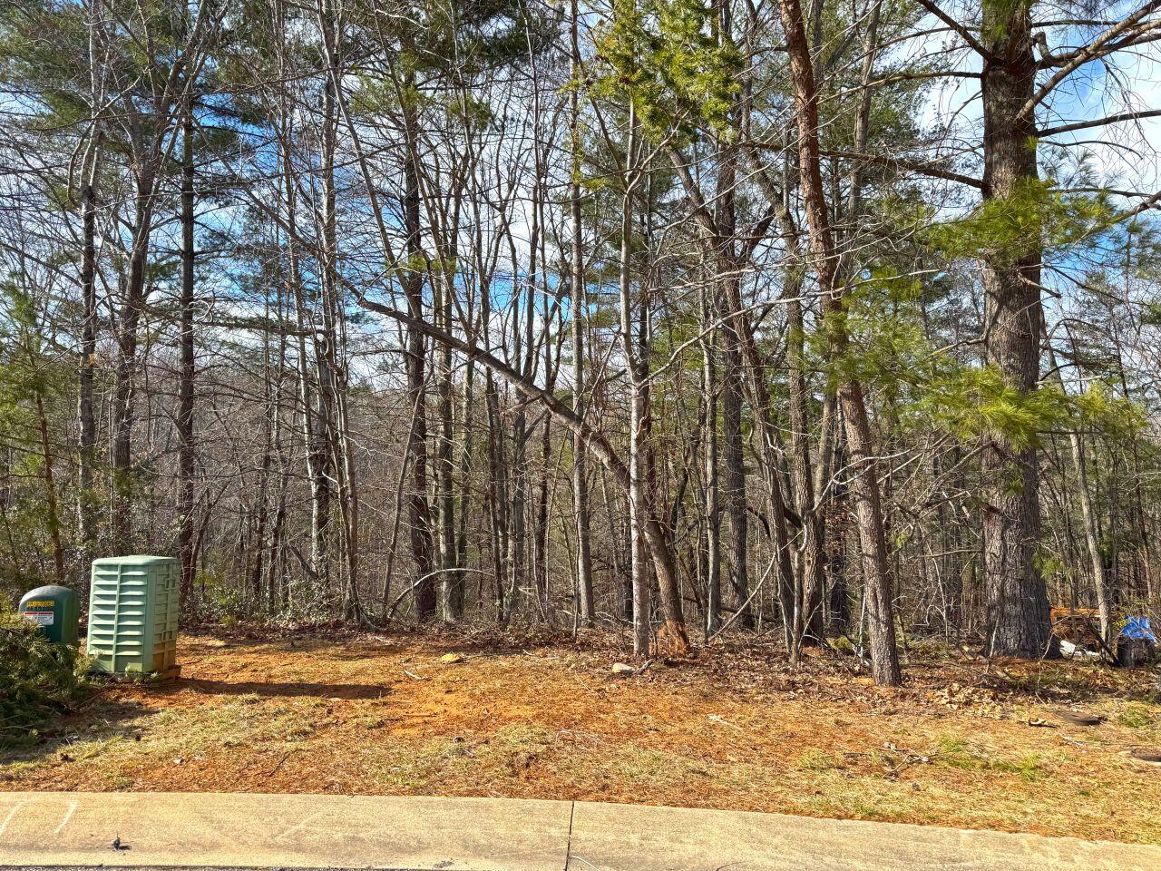 Avalon Dr, Rocky Mount, Virginia image 16