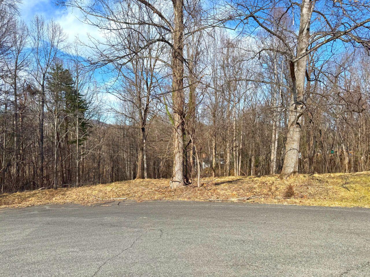 Avalon Dr, Rocky Mount, Virginia image 20