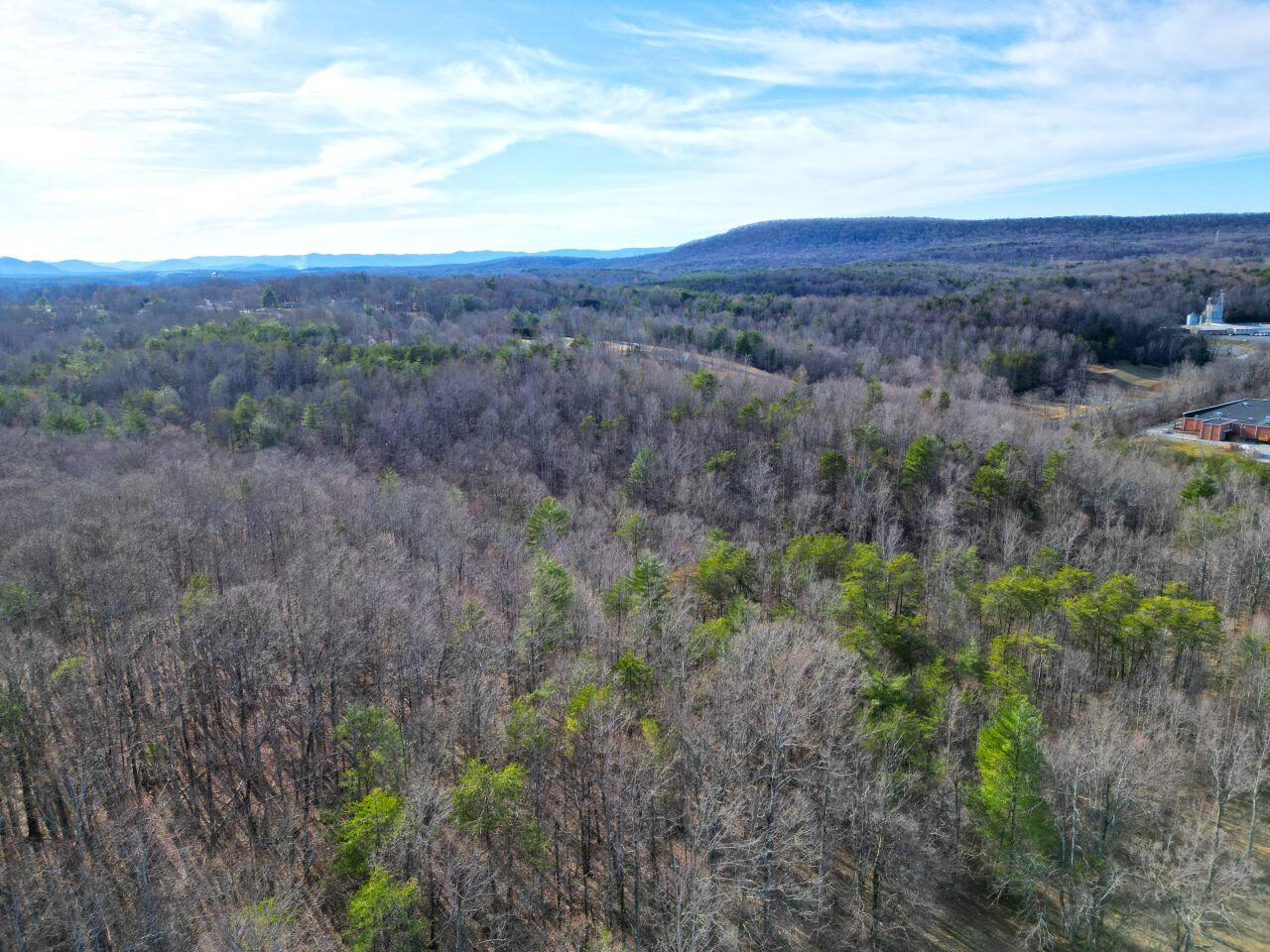 Avalon Dr, Rocky Mount, Virginia image 12