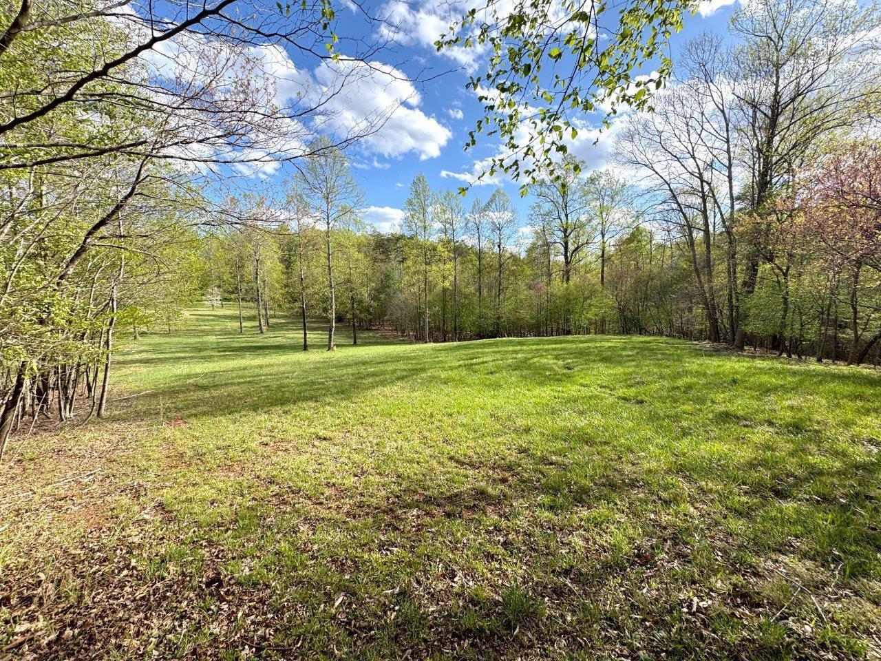 Avalon Dr, Rocky Mount, Virginia image 7