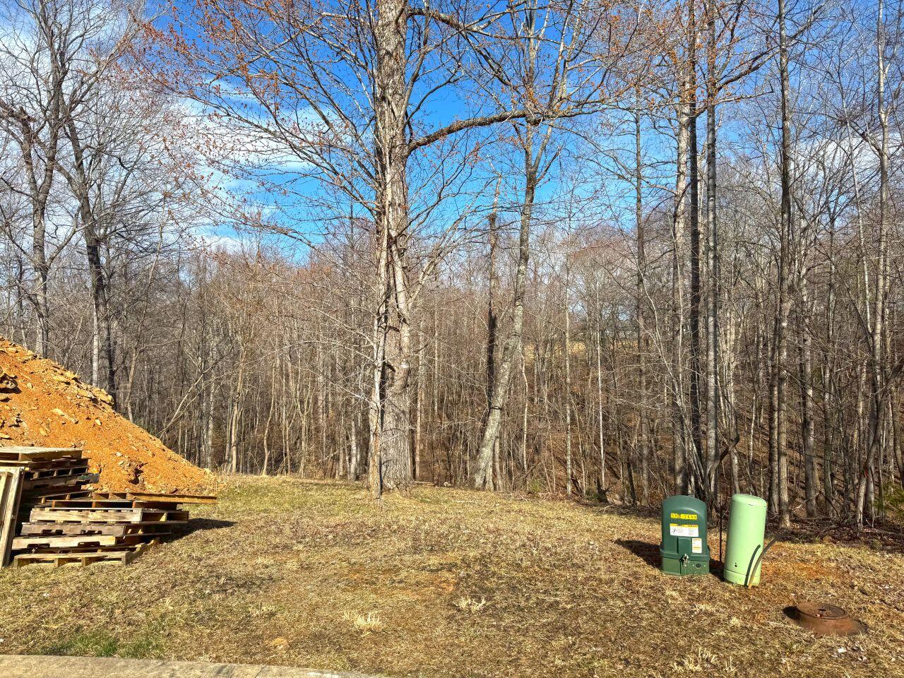 Avalon Dr, Rocky Mount, Virginia image 17