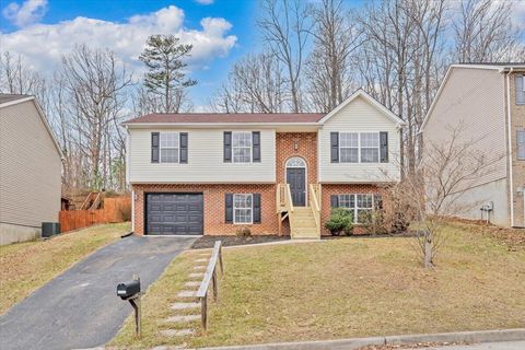 Homes For Sale - 1718 Connors Run<br/> Salem, VA 24153