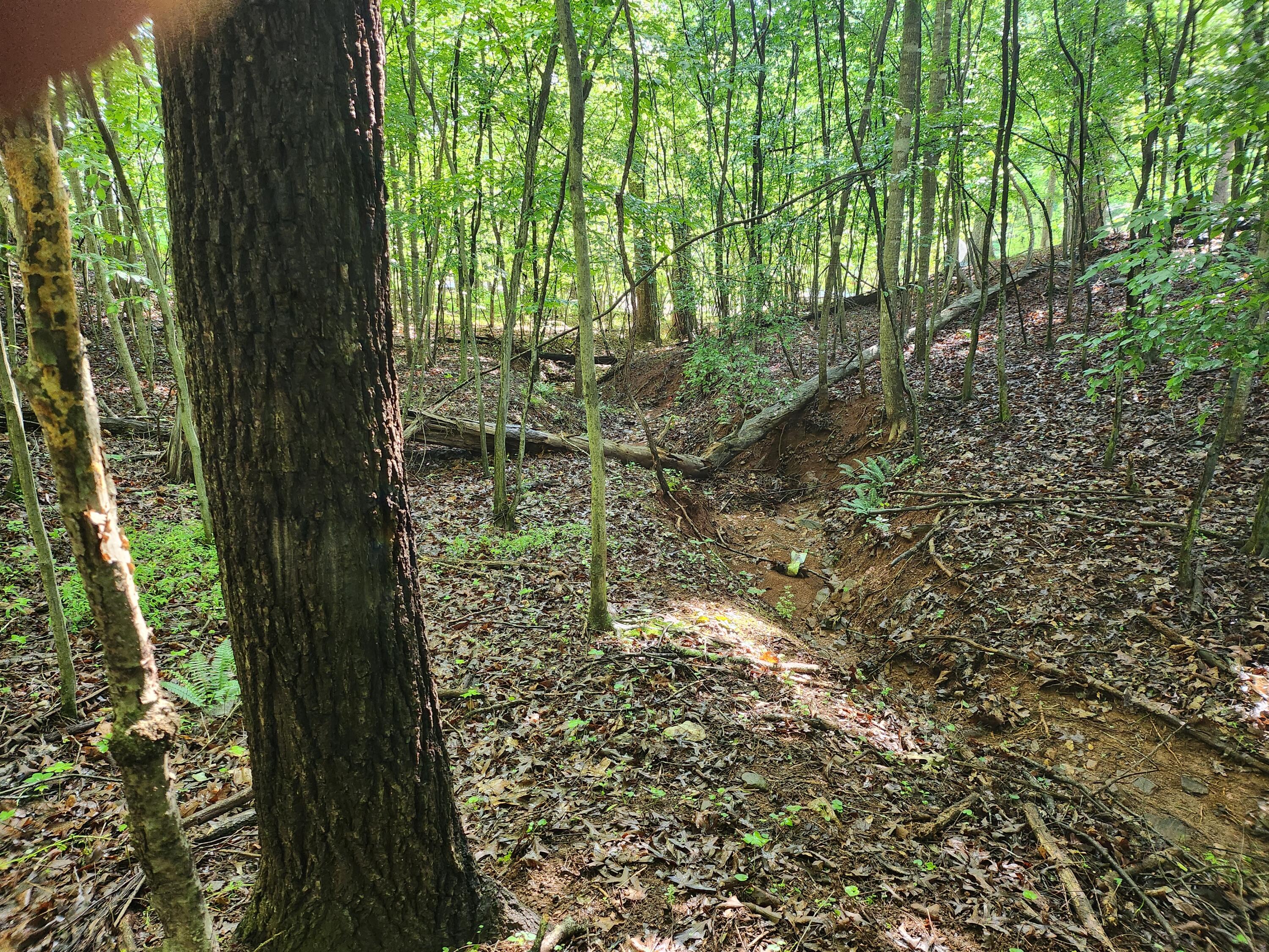Lot 31 Forest Shores Rd, Wirtz, Virginia image 2