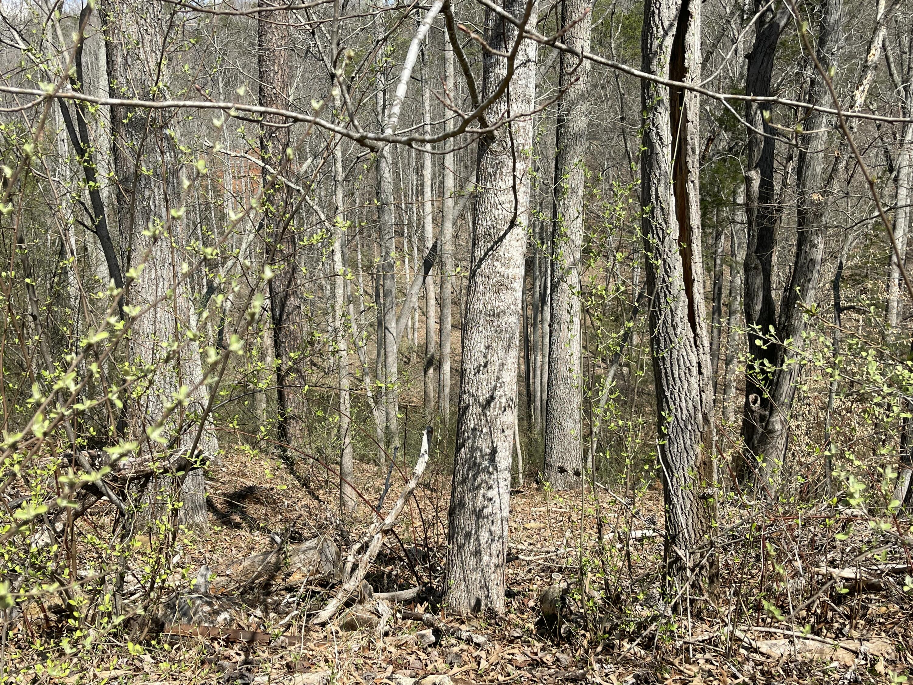 Lot 17 Watchtower Dr, Moneta, Virginia image 1
