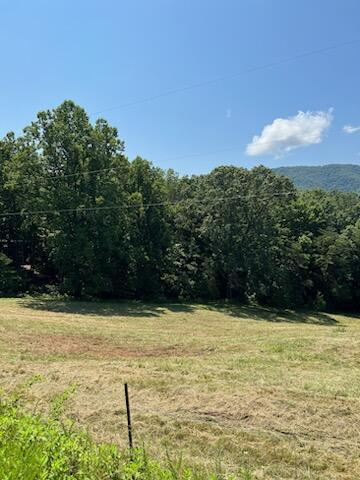 Coopers Cove Rd, Hardy, Virginia image 8
