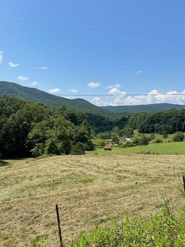 Coopers Cove Rd, Hardy, Virginia image 6