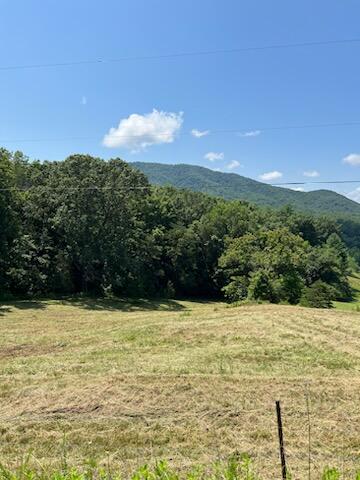 Coopers Cove Rd, Hardy, Virginia image 7
