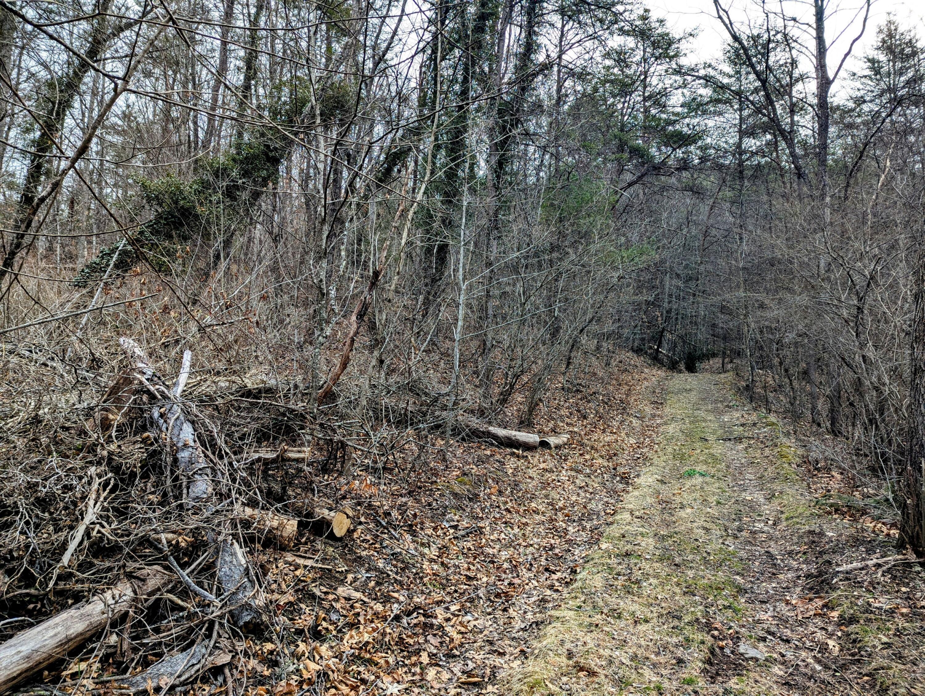 TBD Yates Rd, Shawsville, Virginia image 12
