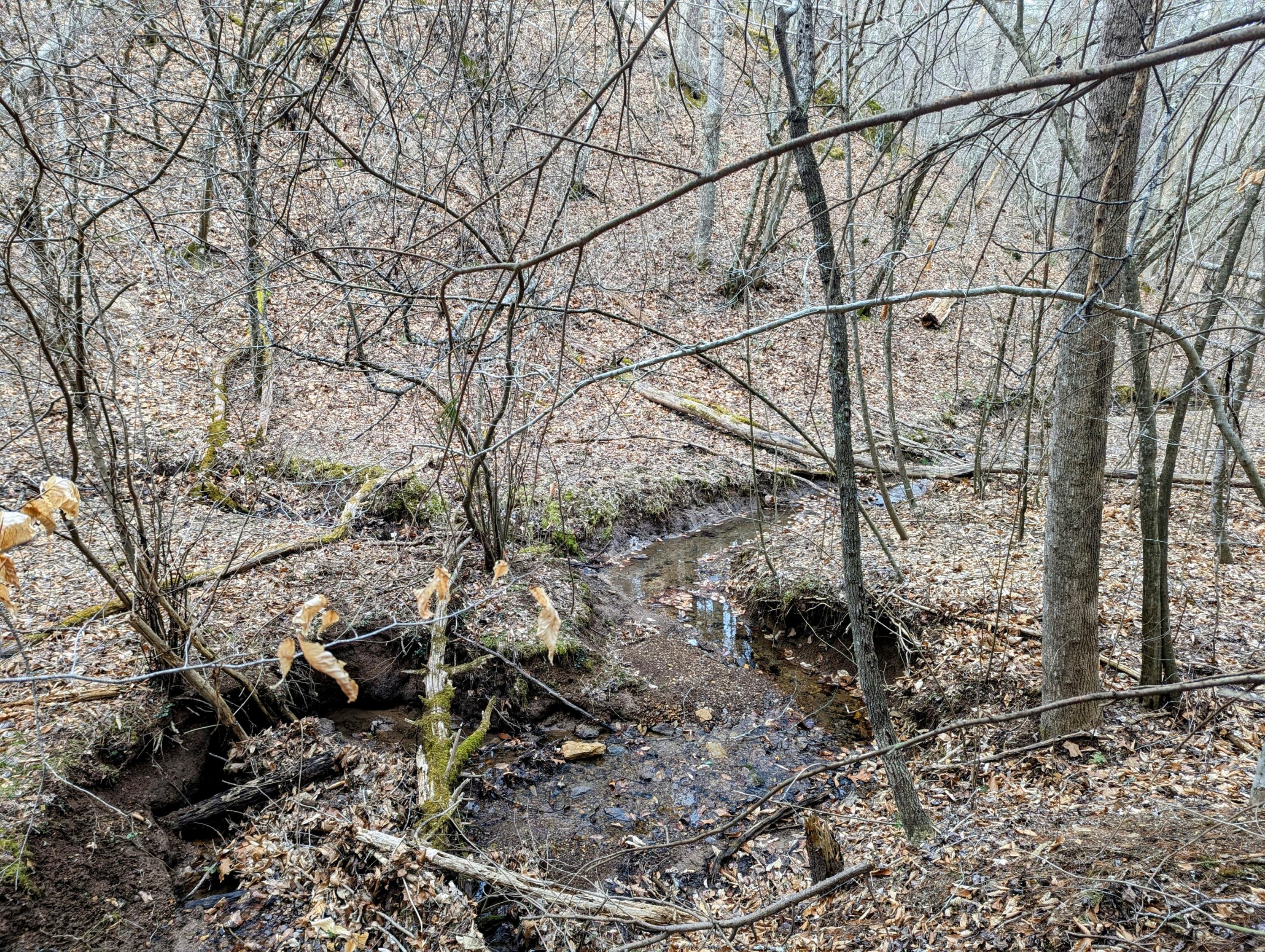 TBD Yates Rd, Shawsville, Virginia image 9