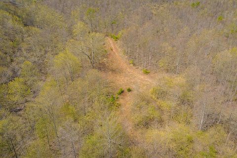 Vacant Land For Sale - Mountain View Church Rd<br/> Blue Ridge, VA 24064