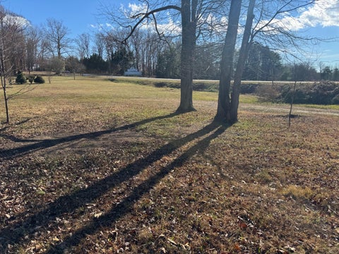 Homes For Sale - LOT 4 Strawberry Banks Dr<br/> Moneta, VA 24121