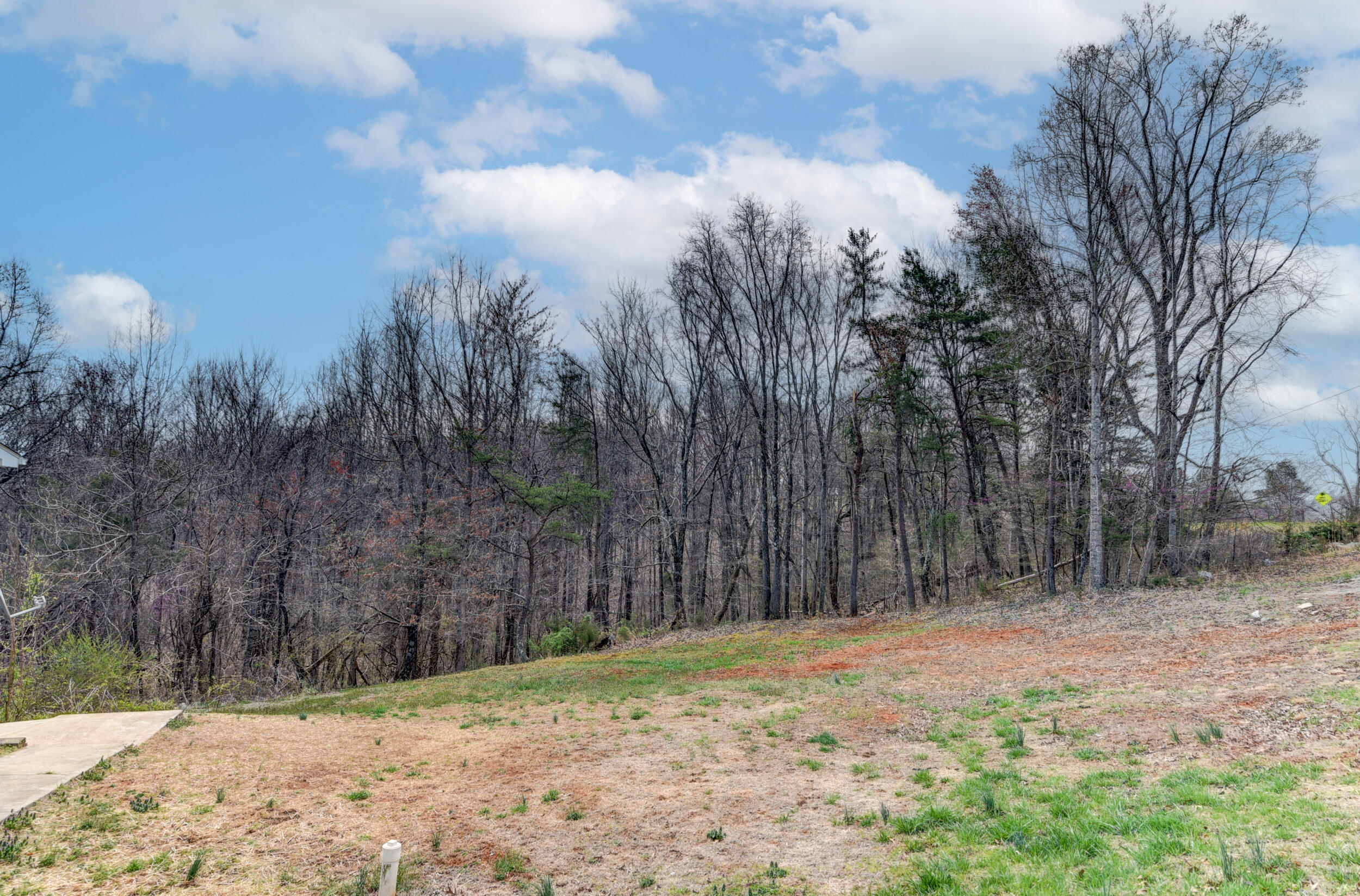 1944 Dickerson Mill Rd, Bedford, Virginia image 28