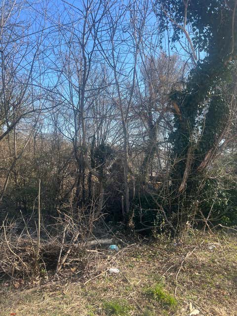 Vacant Land For Sale - 1511 Essex Ave<br/> Roanoke, VA 24017