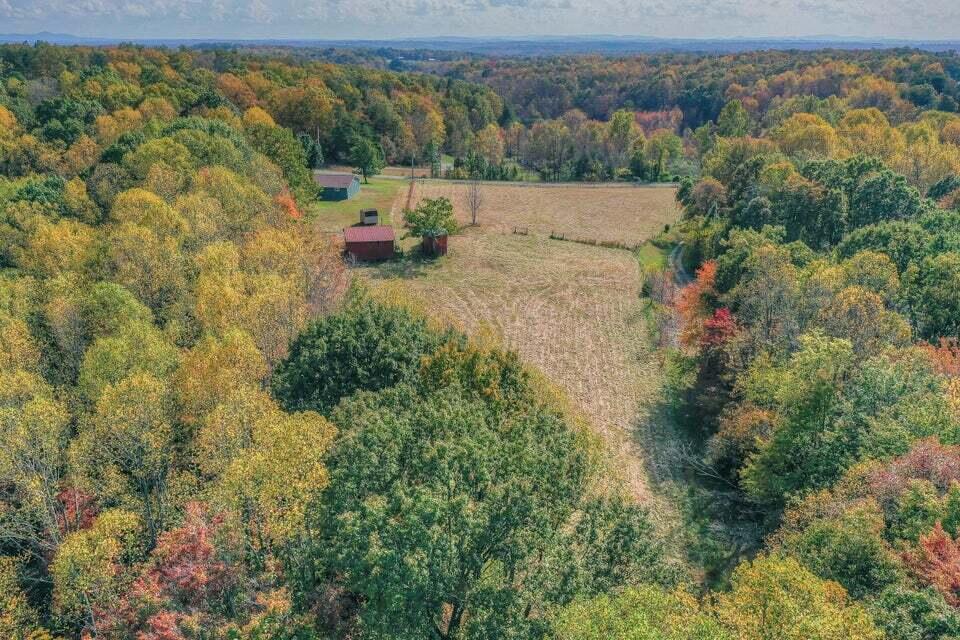 345 Deepwoods Rd, Hardy, Virginia image 3