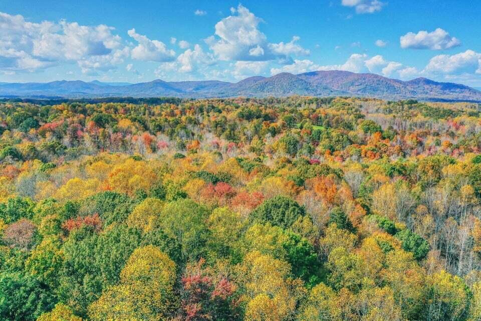 345 Deepwoods Rd, Hardy, Virginia image 4