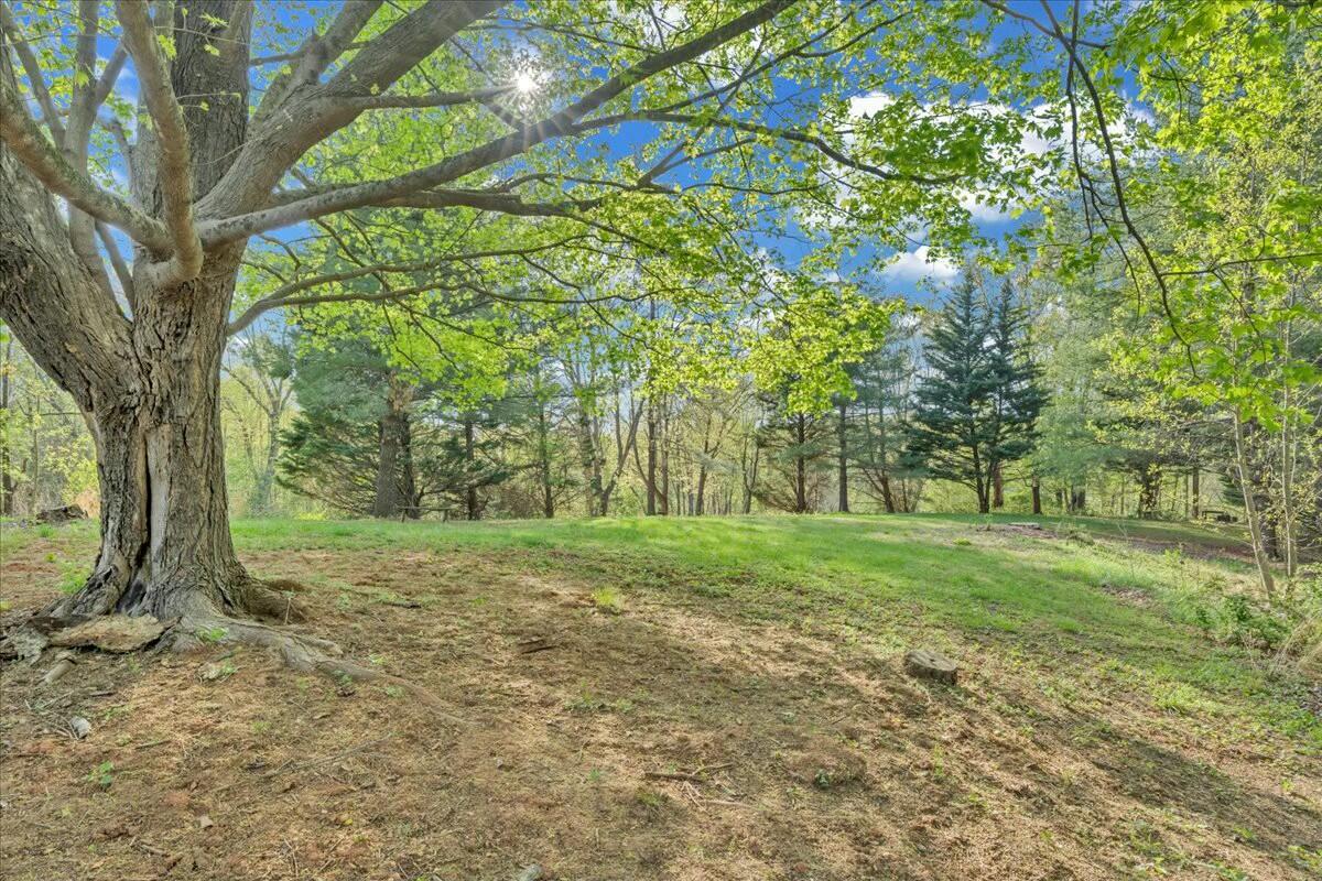 12477 North Old Moneta Rd, Moneta, Virginia image 35