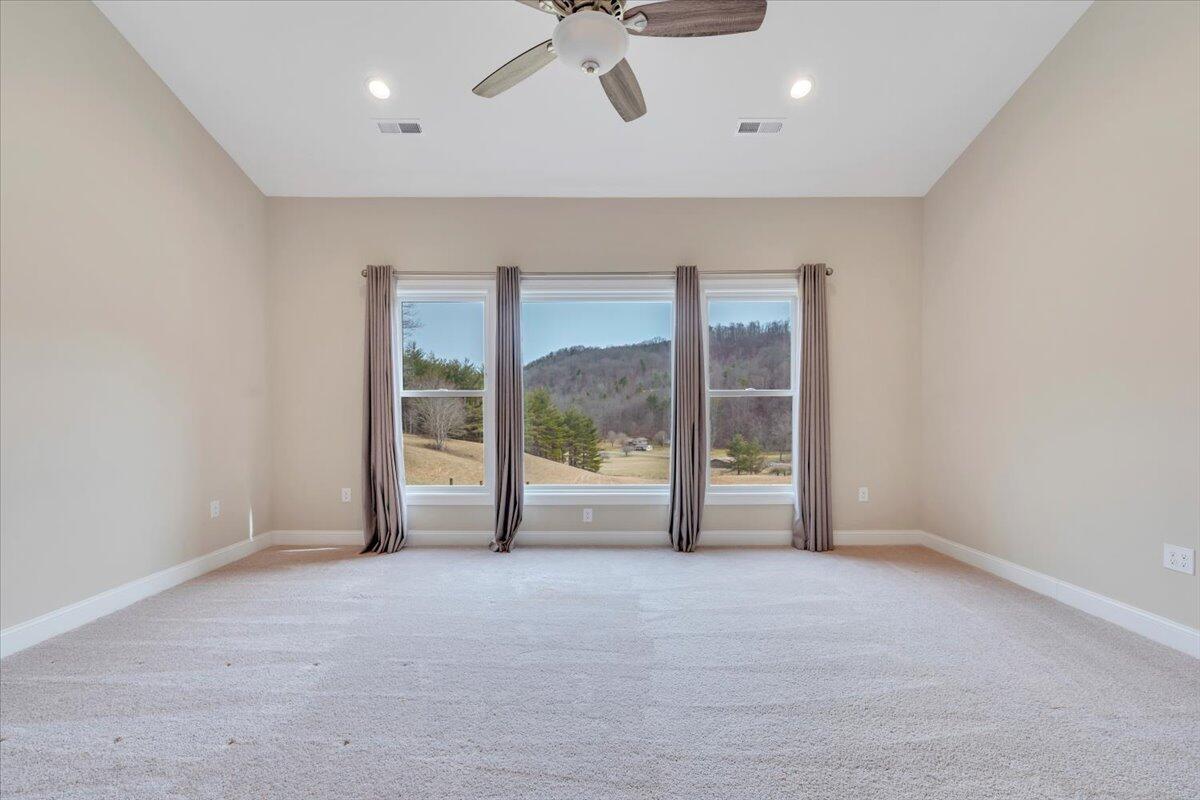 1516 Powder Mill Rd, Elk Creek, Virginia image 38