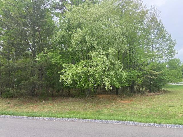 Lot 2 Chesney Pl, Blue Ridge, Virginia image 3