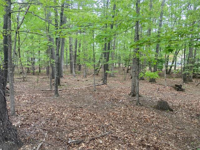 Lot 2 Chesney Pl, Blue Ridge, Virginia image 10