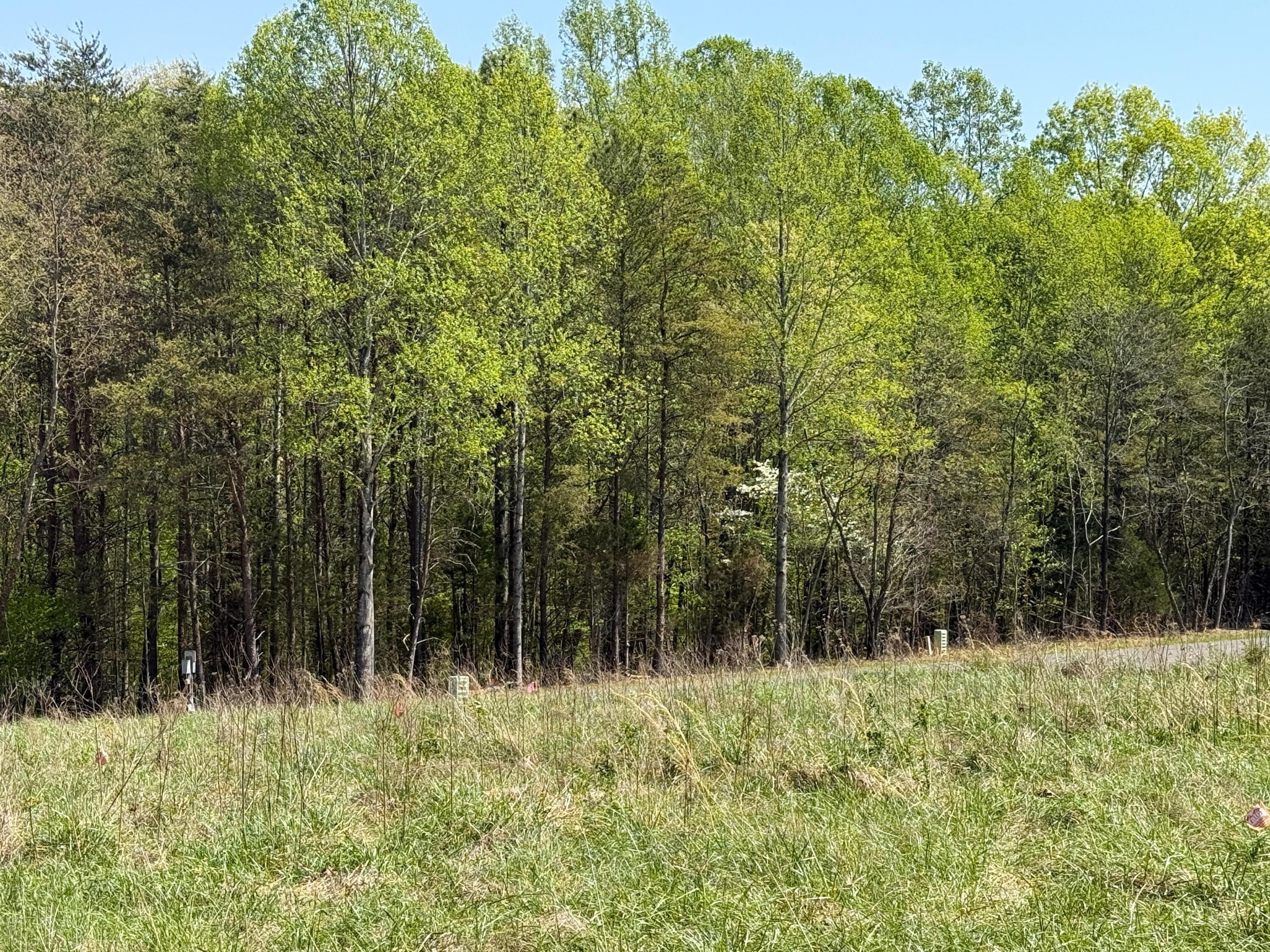 Lot 11 Lake Park Dr, Union Hall, Virginia image 3