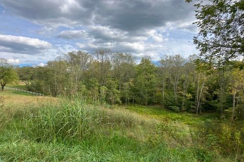 Vacant Land For Sale - Plybon Ln<br/> Wirtz, VA 24184