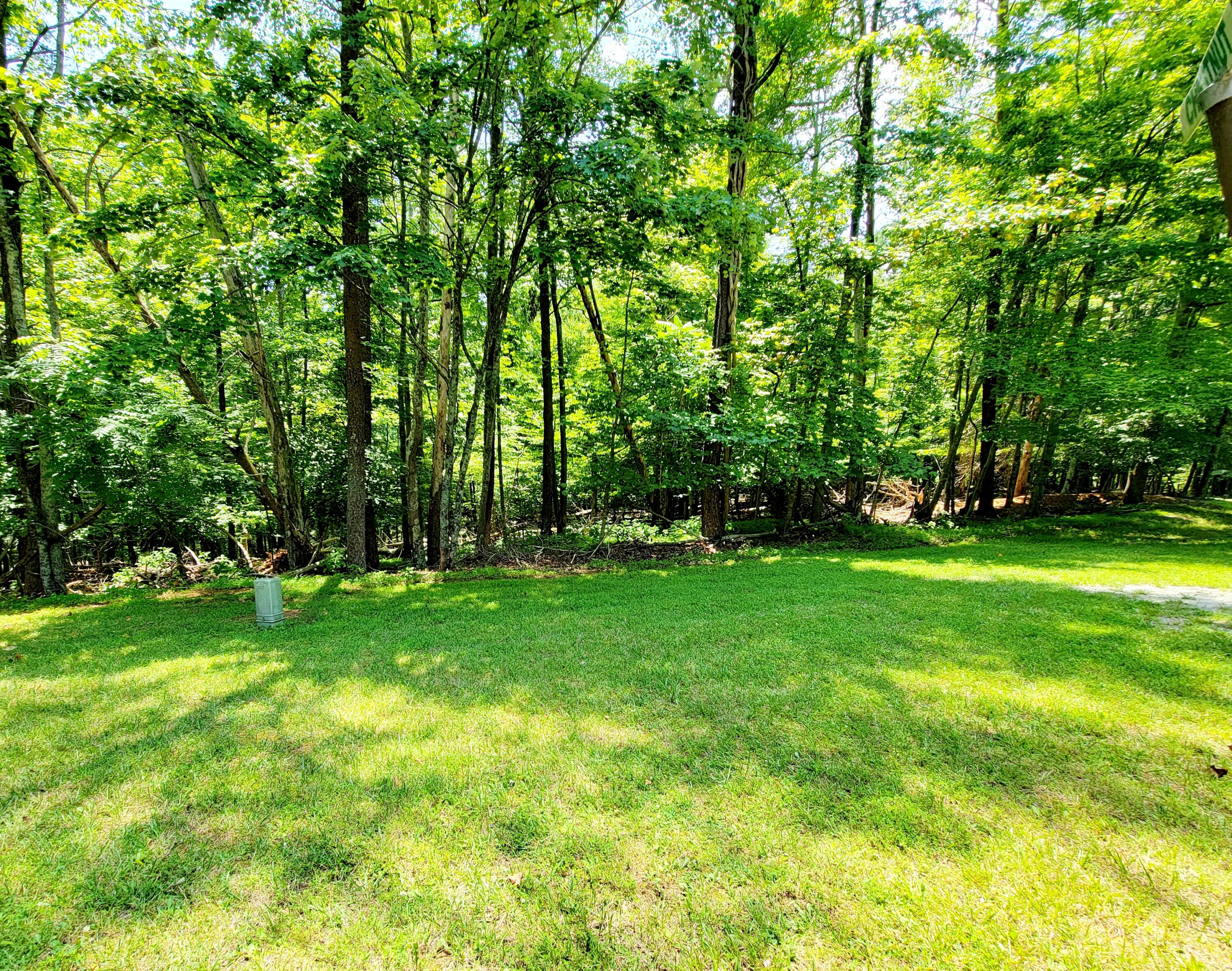 Lot 40 Chestnut Dr, Hardy, Virginia image 1